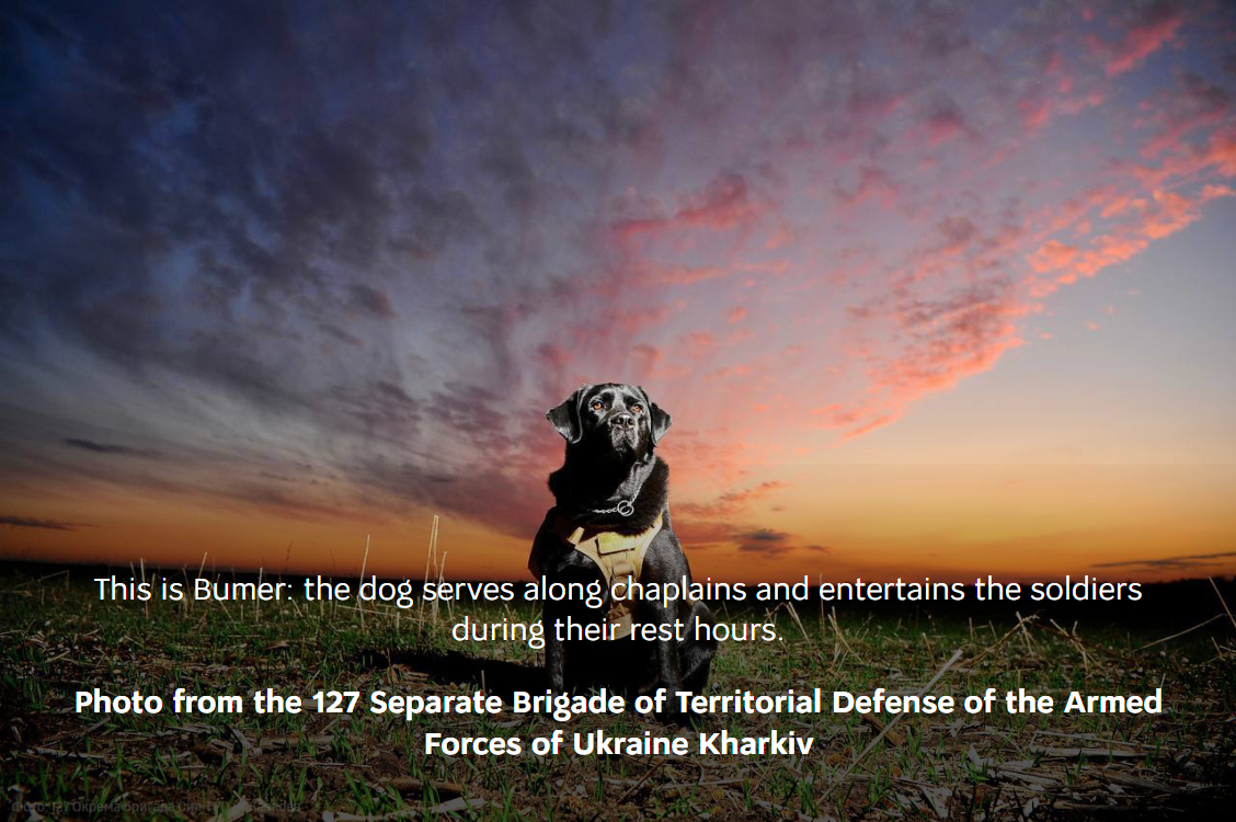 Retrieved from war.ukraine.ua.