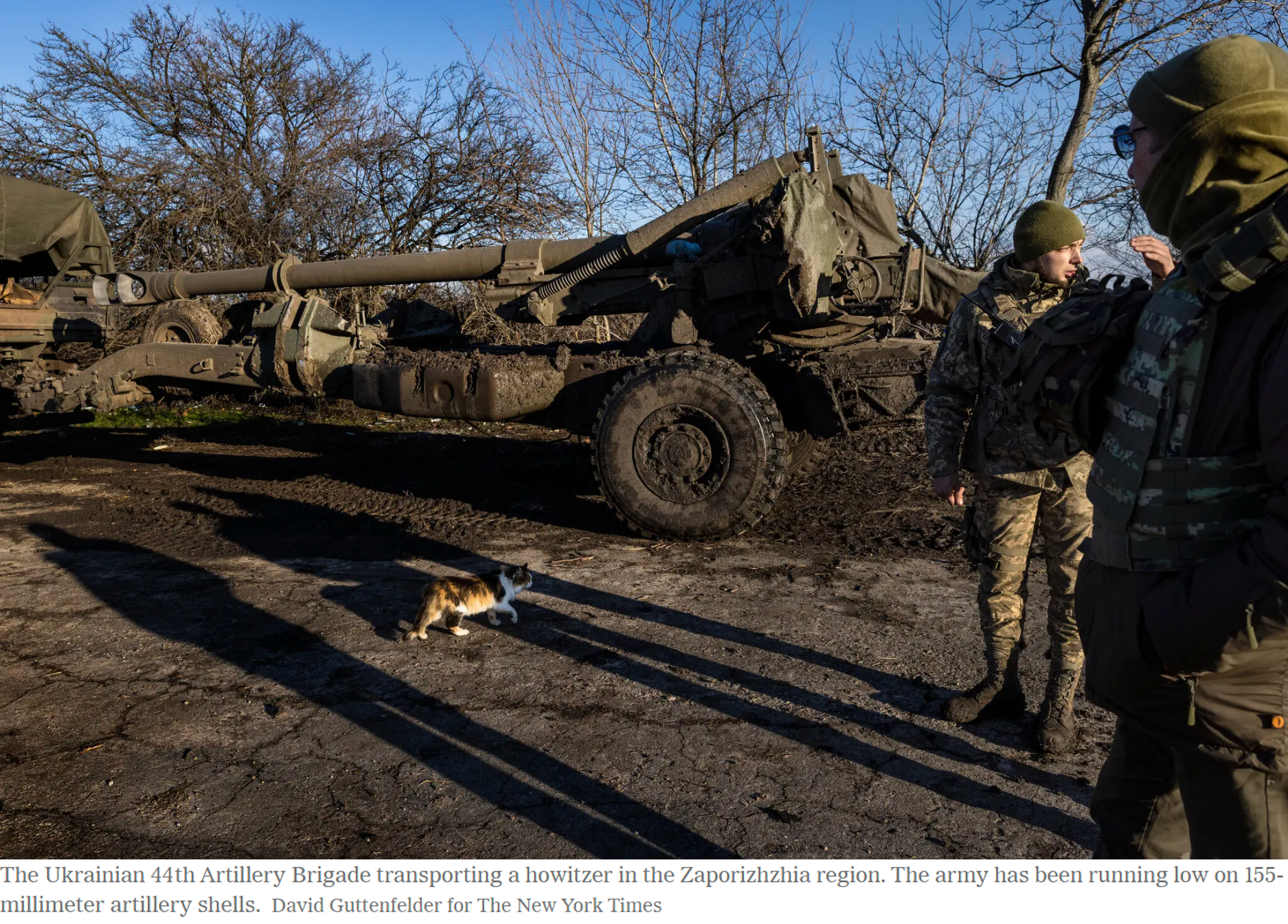 Retrieved from the New York Times.