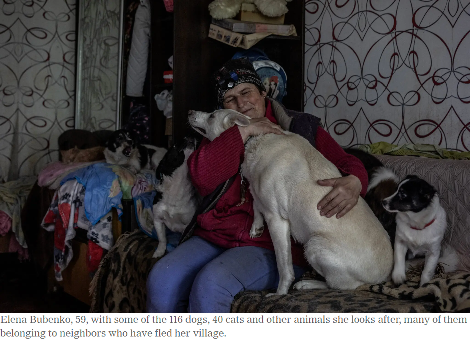 Retrieved from the New York Times.